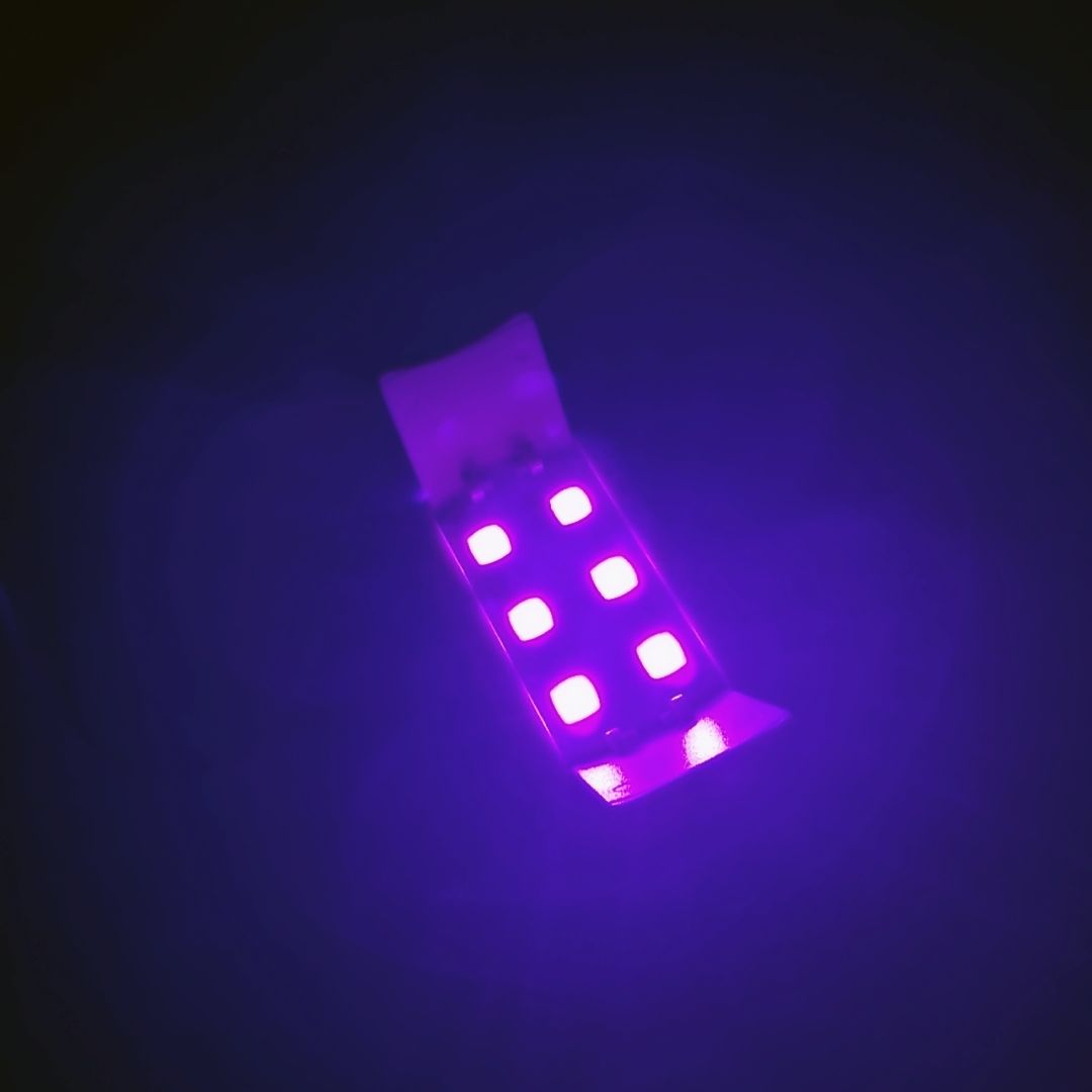 456254601